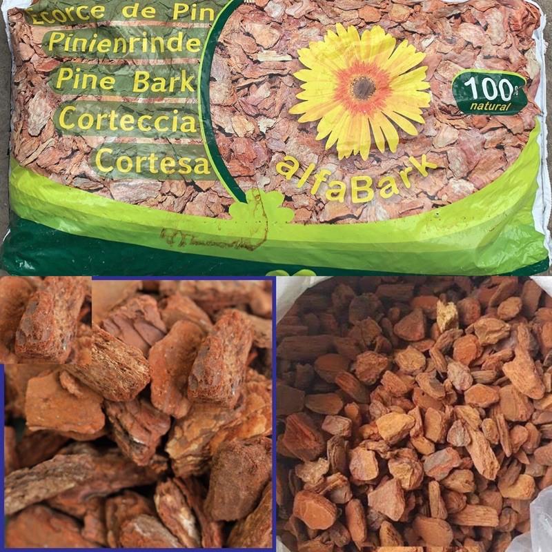 1kg VỎ THÔNG HÀ LAN ALFABARK ĐỦ 3 KÍCH THƯỚC VỎ TIÊU CHUẨN