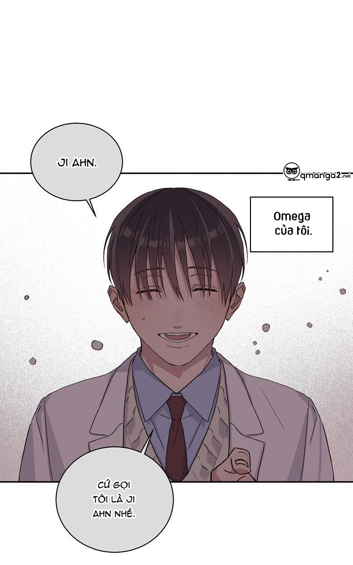 chàng tuấn mã của tôi chapter 22 97