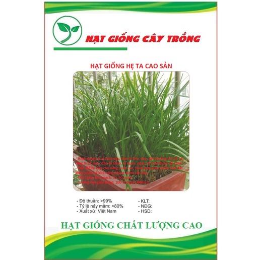 Hạt giống rau hẹ ta cao sản CT132 - Gói 2gram