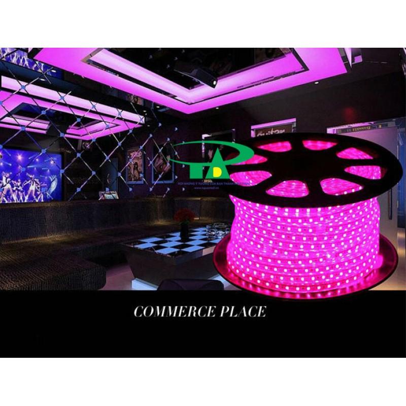 Đèn led dây 2835 cuộn 100m 220v