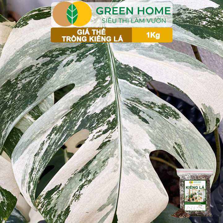 Đất Trồng Kiểng Lá Greenhome, Bao 1kg, Giá Thể Trộn Sẵn, Tiện Lợi Cho Monstera, Rễ Khoẻ