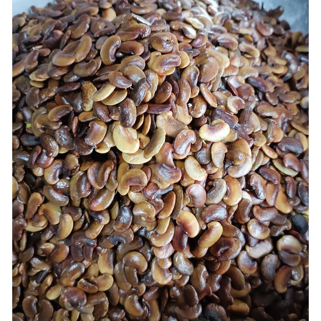 500 gram hạt giống cây Sưa Đỏ, Huỳnh Đàn