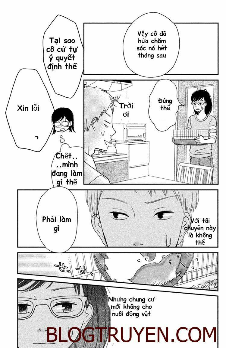 love rerun chapter 8 13