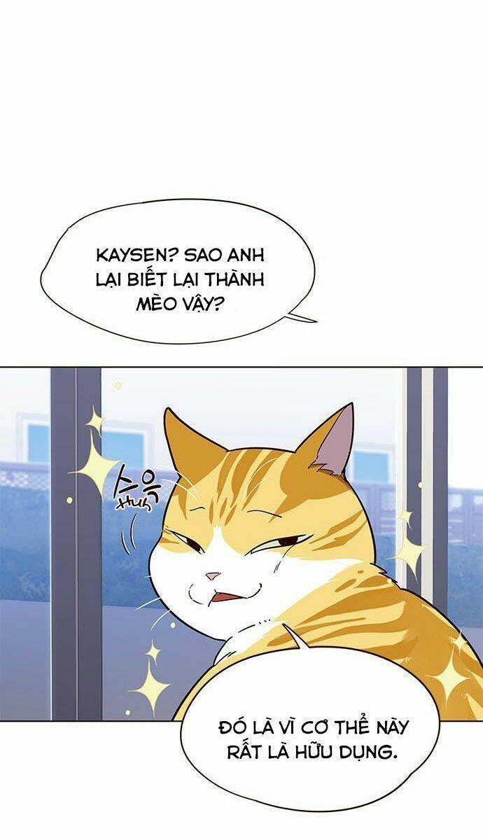 biến thân thành mèo chapter 16 18