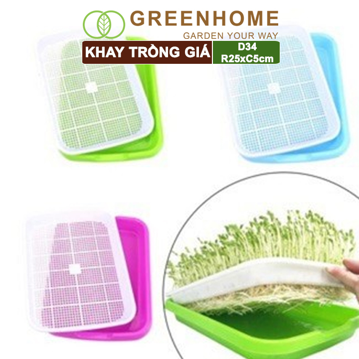 Bộ khay trồng giá, rau mầm, Greenhome, D34xR25xC5cm, nhựa nguyên sinh, an toàn, dễ trồng tại nhà, nhiều màu lựa chọn