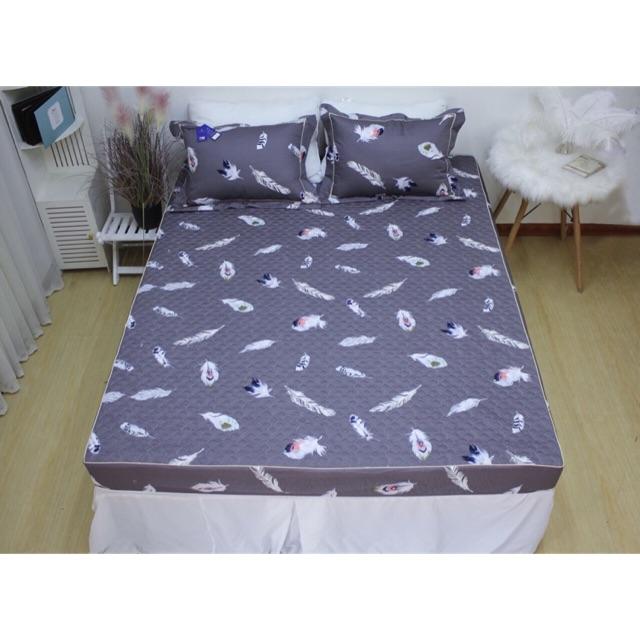 Bộ gối ga trần bông Happiness 1m6x2m/ 1m8x2m