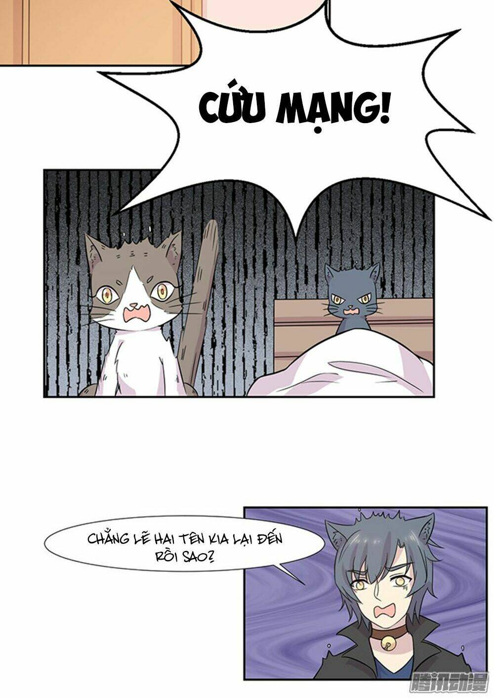 hai chú mèo totem chapter 23 4