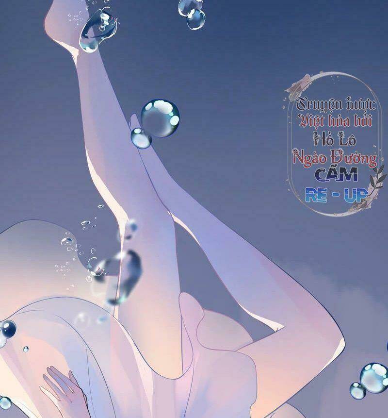 quận chúa vững vàng, thiết lập nhân vật không thể vỡ chapter 0 11