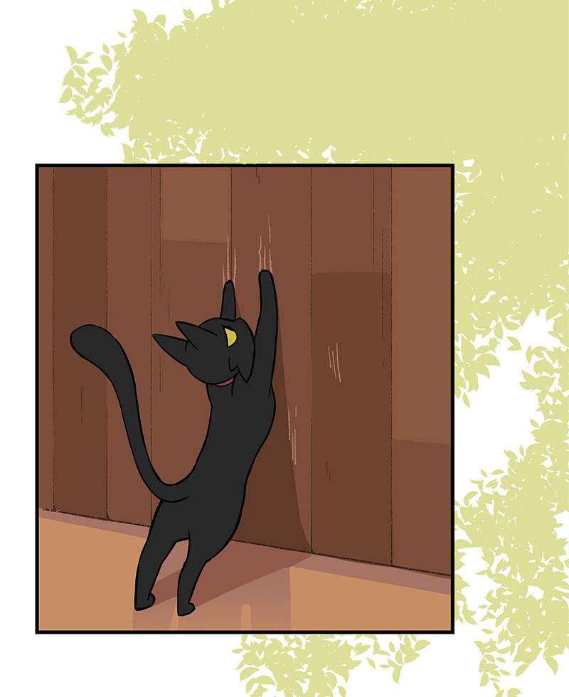 người cầu hôn chapter 1 71