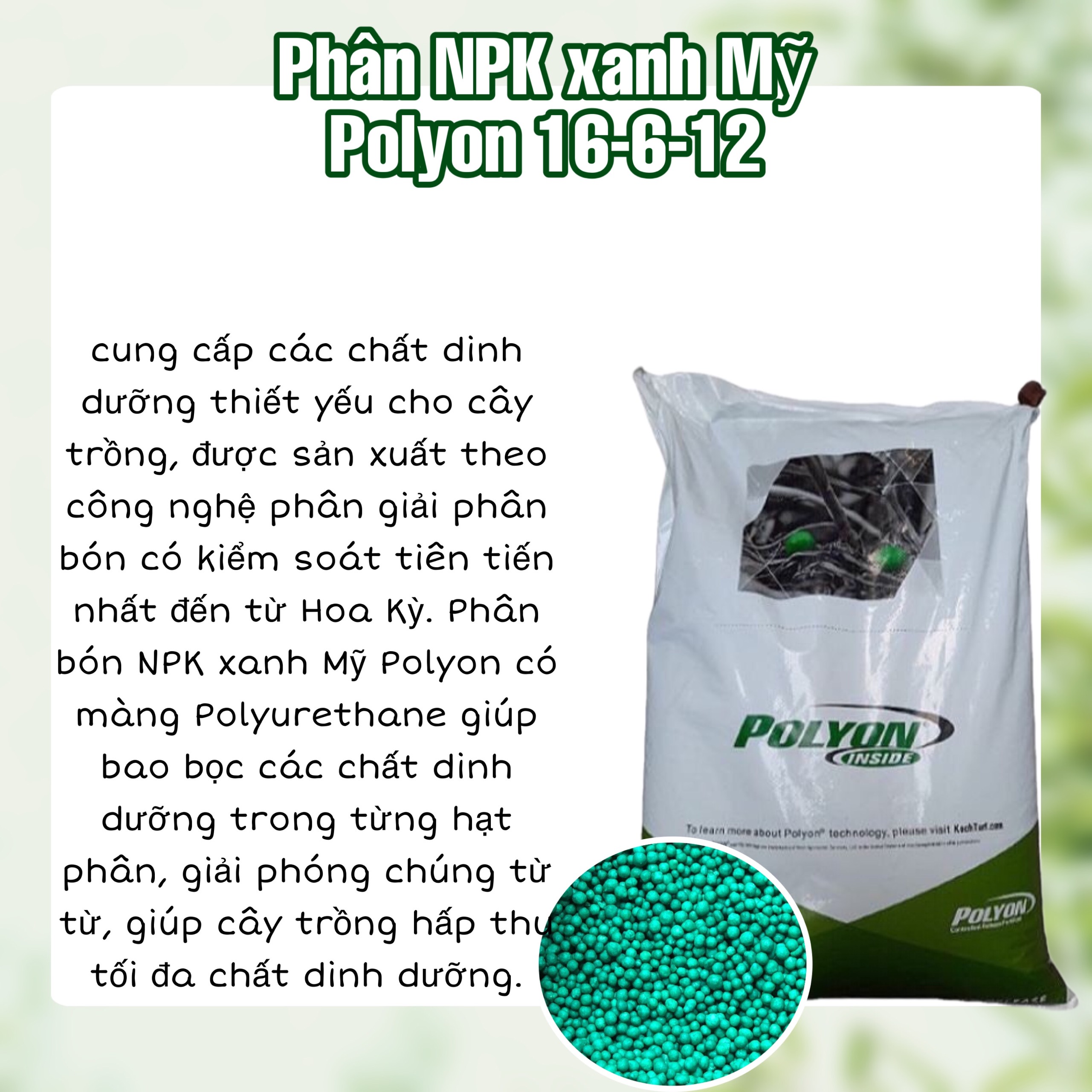 Phân tan Chậm Mỹ PoLyon hạt xanh - 16-6-12