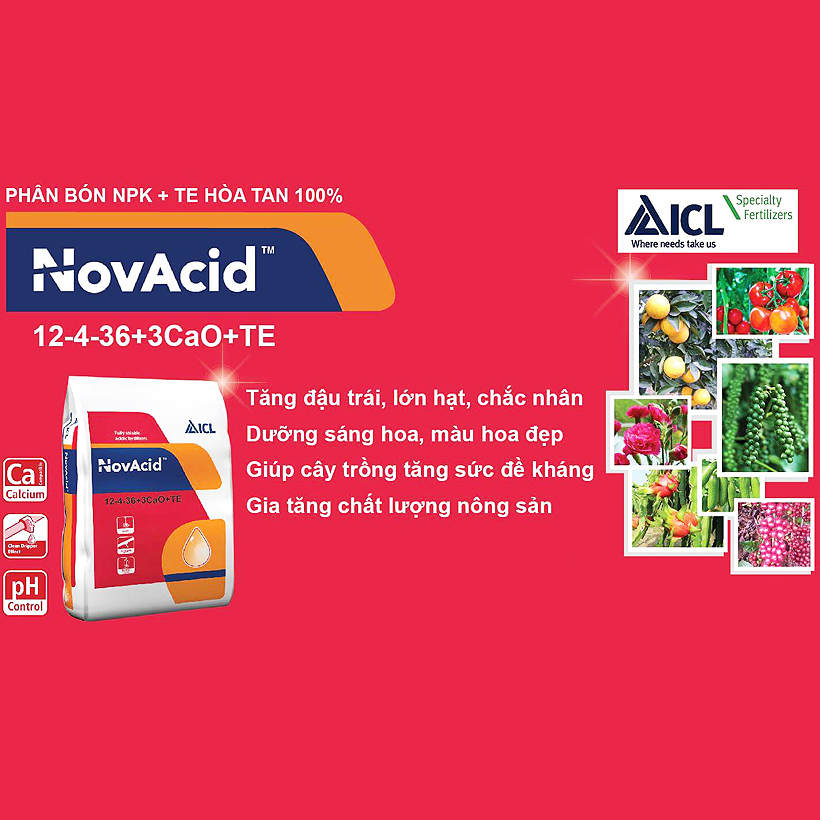 Phân bón hòa tan Israel Novacid 12-40-36+3CaO+Te, Hoà tan 100% sử dụng cho hệ thống tưới nhỏ giọt và tưới phun. Hạn chế rụng trái non, thúc hoa ra màu đẹp và tăng sức đề kháng cho cây trồng