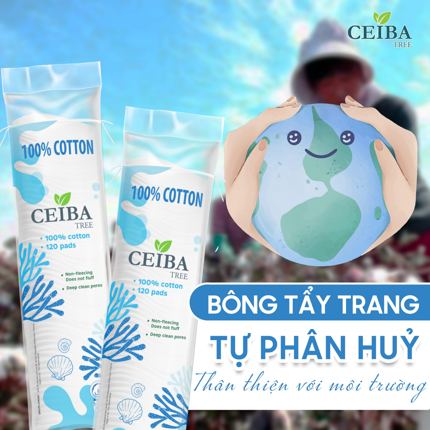 Bông Tẩy Trang Ceiba Tree Organic Pháp 100% Chất Liệu Cotton 80 Miếng