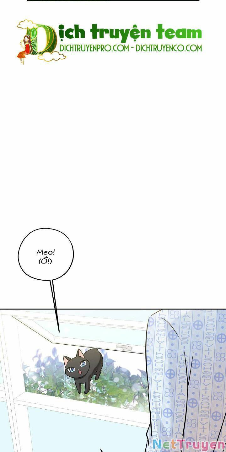 cuộc sống kỳ thú chapter 86 17