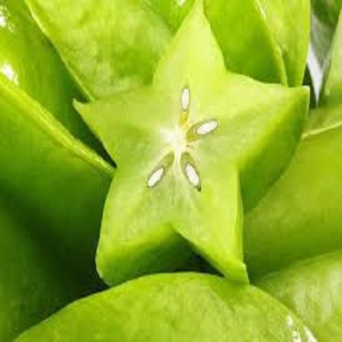 CÂY GIỐNG CÂY KHẾ CHUA, QUẢ SỚM, SIÊU QUẢ