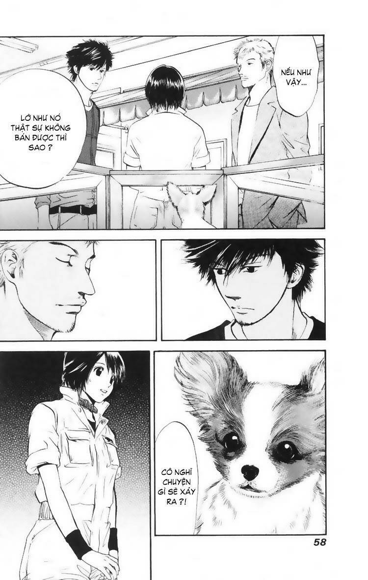 cô nàng yêu chó chapter 11 19