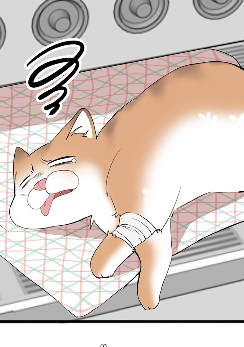 rốt cuộc bé mèo đang nghĩ gì ? chapter 14 34