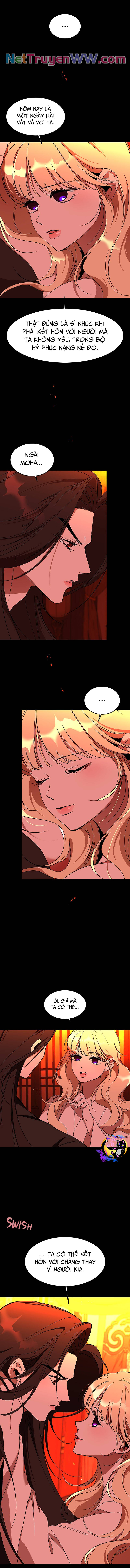 chiến lược săn hổ của nữ thần chapter 60 8