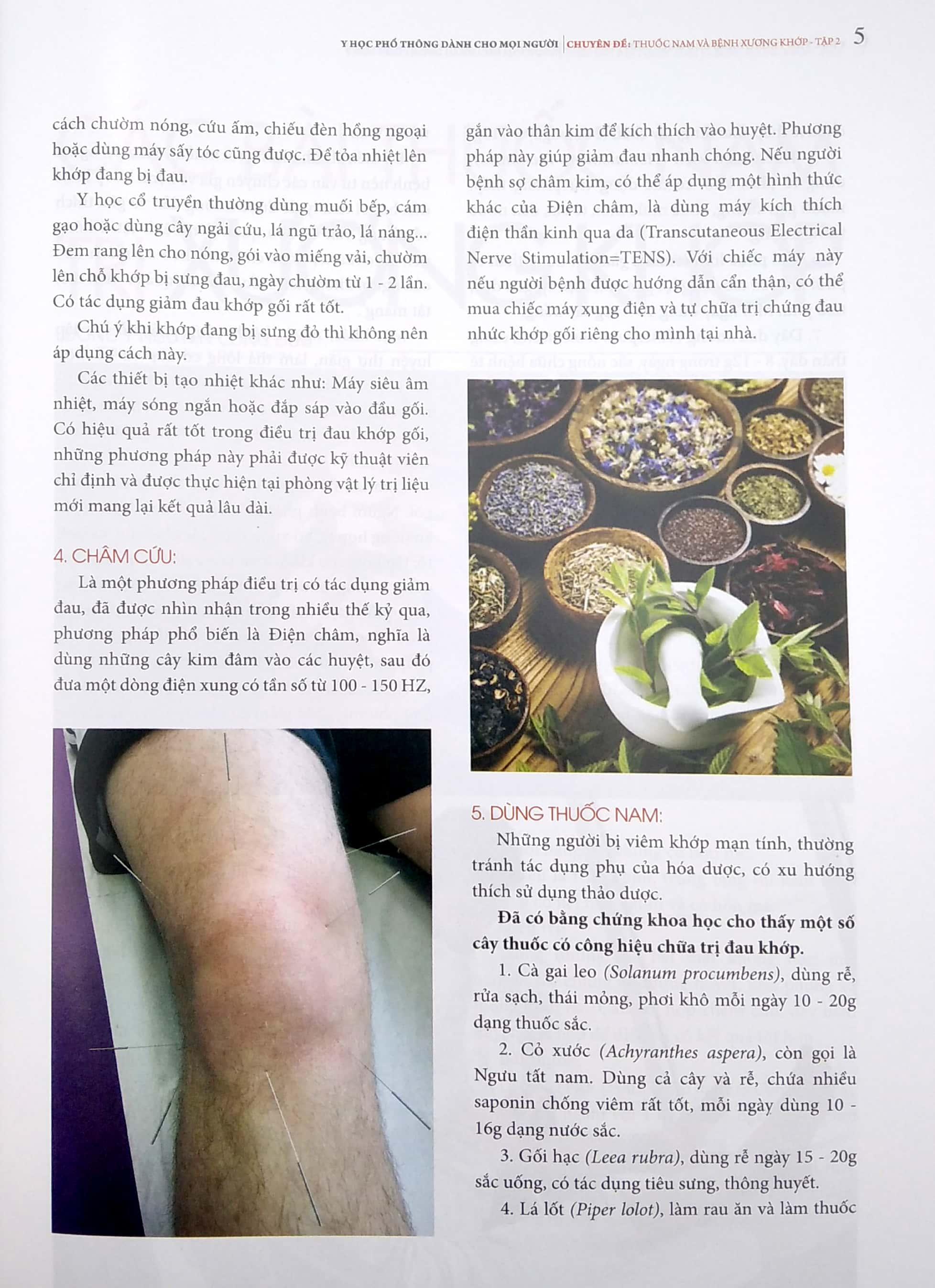 Y Học Phổ Thông Dành Cho Mọi Người - Chuyên Đề: Thuốc Nam Và Xương Khớp 2