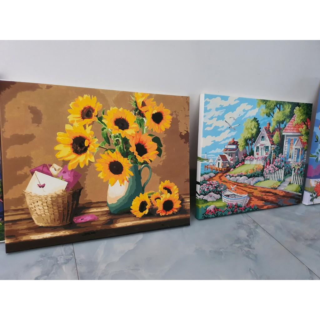 Khung dày 2.5cm Tổng hợp các mẫu Tranh Sơn dầu số hóa hoa hướng dương size 40x50 đã căng khung và đầy đủ phụ kiện