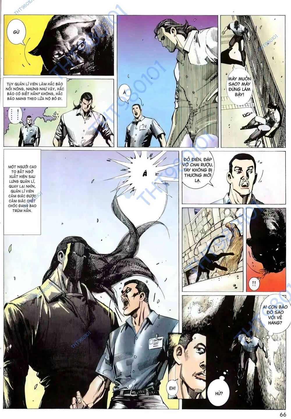 hắc báo liệt truyện chapter 248 10