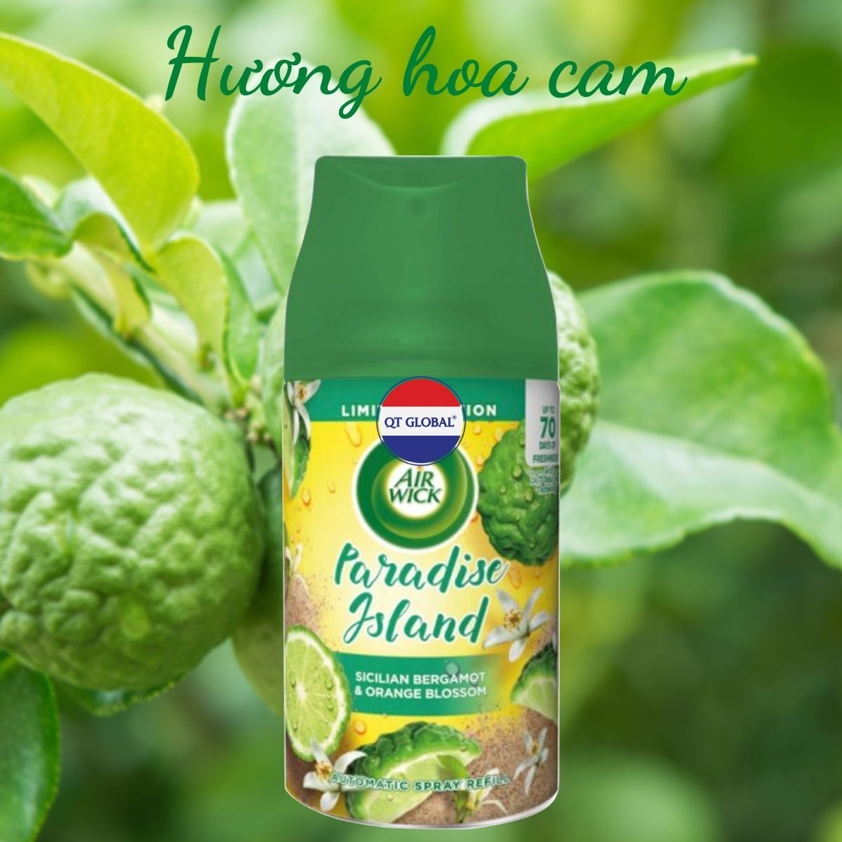 Bình xịt thơm phòng Air.Wick Sicilian Bergamot &amp; Orange Bloossom 250ml QT0070 - hương hoa cam