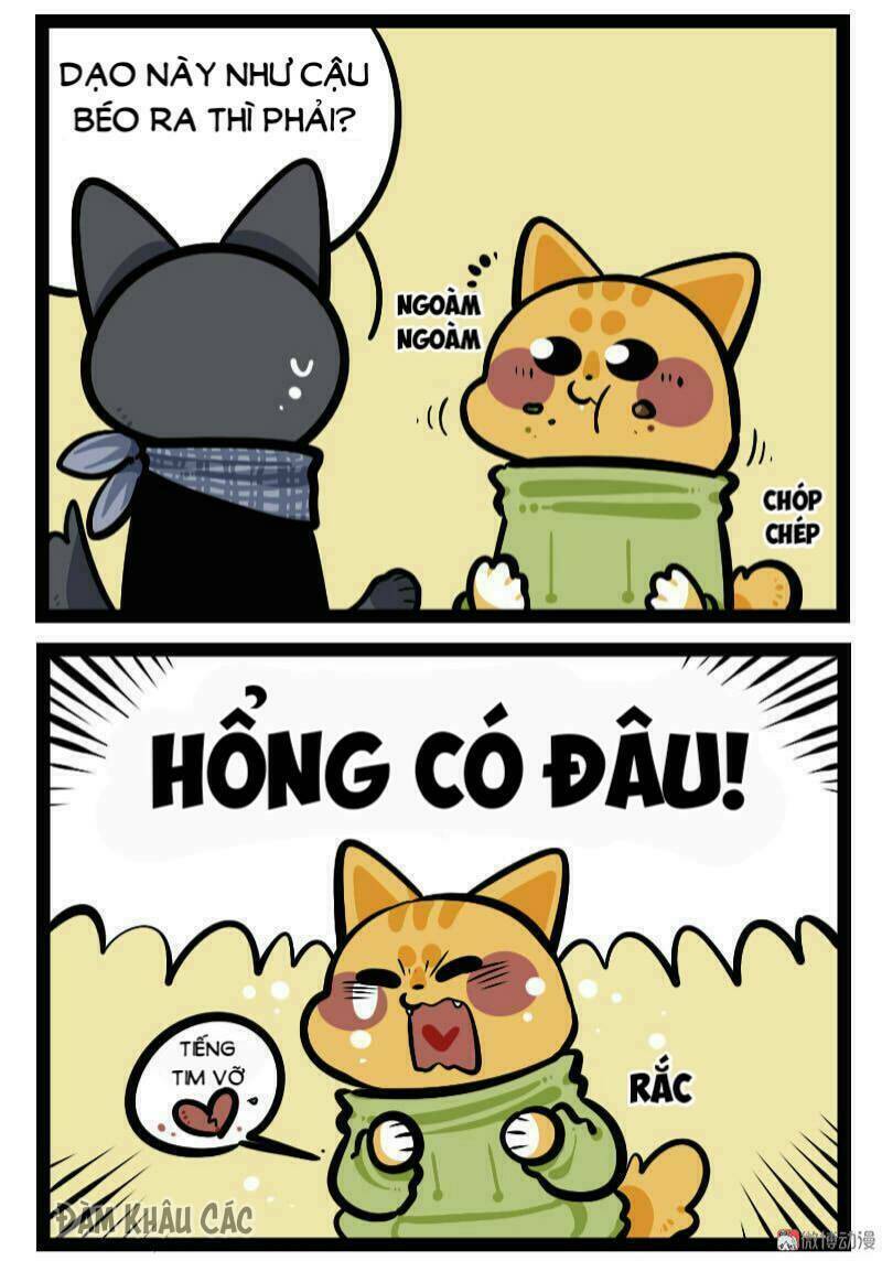 đời không như mình tưởng chapter 60 3