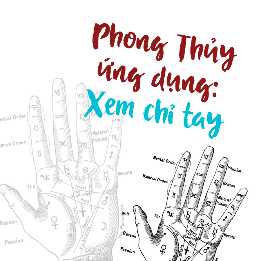Khóa Học Phong Thủy Ứng Dụng: Xem Chỉ Tay