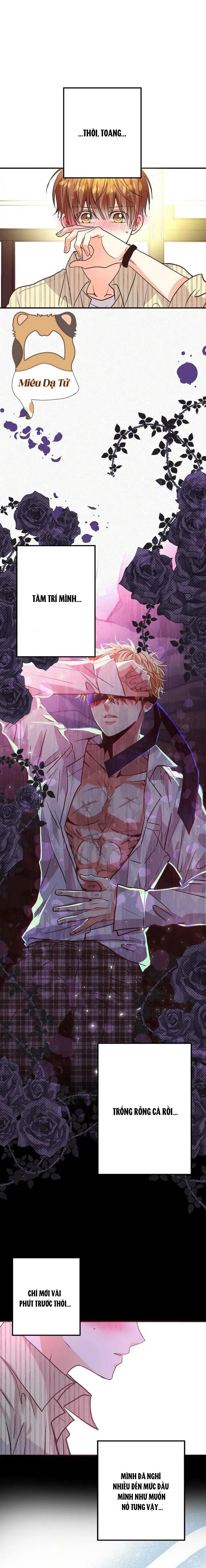 mối quan hệ phù hợp chapter 25 11