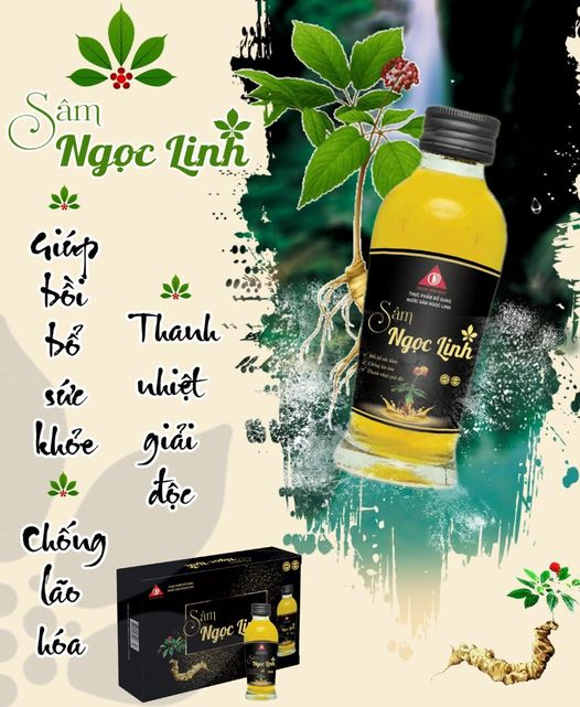 Dịch chiết Sâm Ngọc Linh