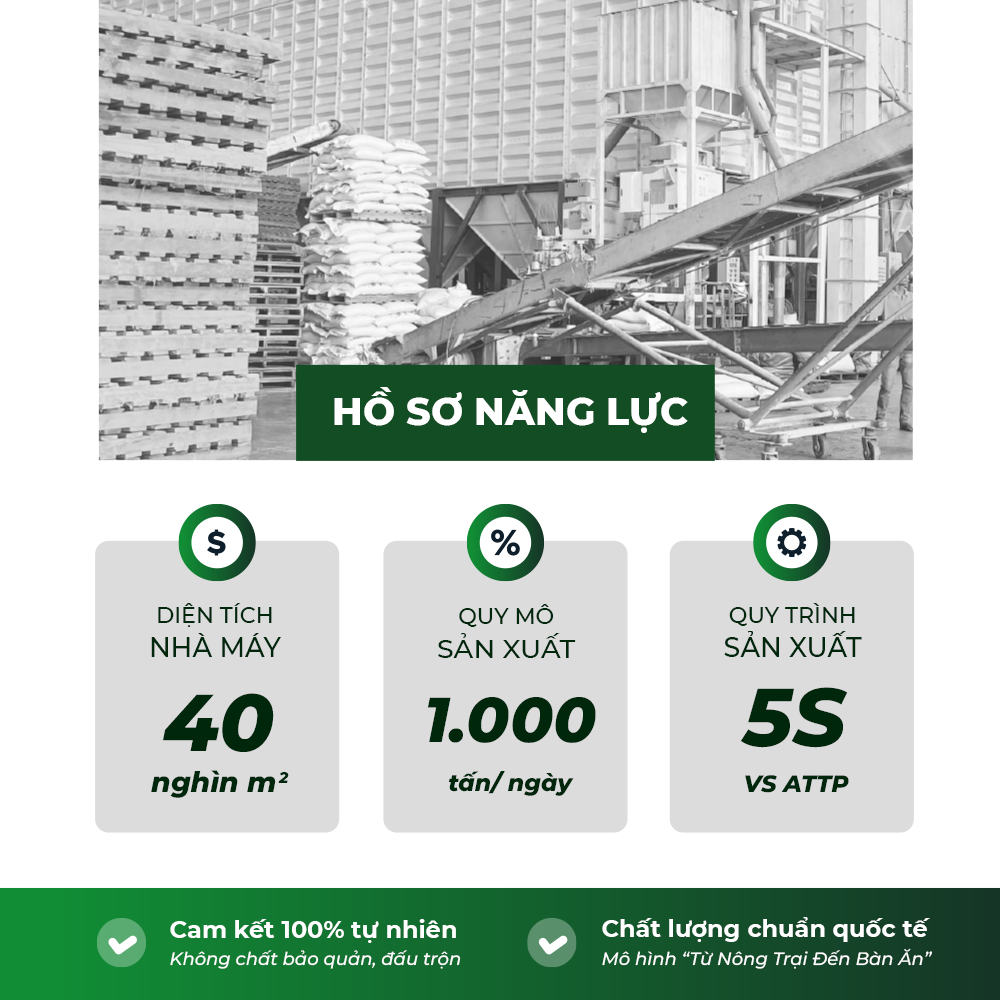 Gạo Chơn Chính ST25 - Túi 10kg - Gạo thượng hạng thơm dẻo, đậm vị 5RICE