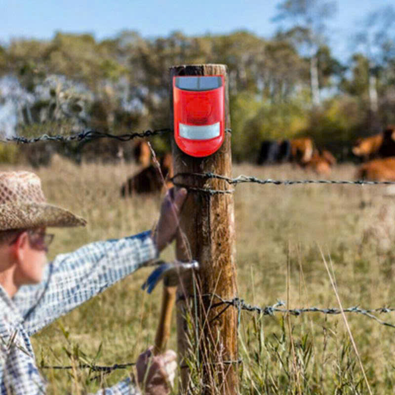 chuông báo động chống trộm hồng ngoại sử dụng năng lượng mặt trời có đèn báo