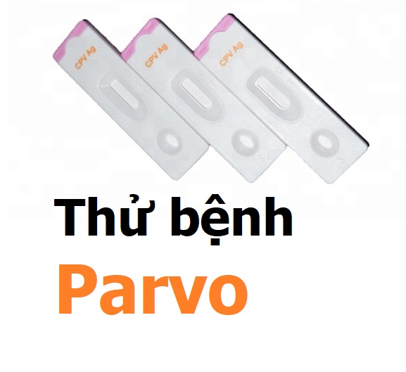 (1 Kít test) Que test bệnh chó mèo dụng cụ xét nghiệm ệnh chó Parvo CPV Care CDV FPV cho mèo