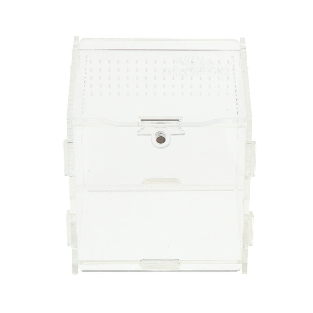 Reptile Vivarium Terrarium