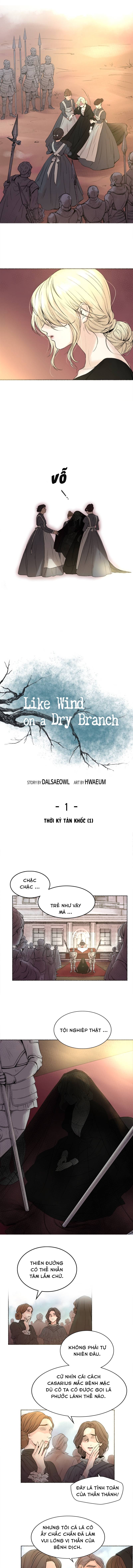 như gió trên cành cây khô chapter 1 4