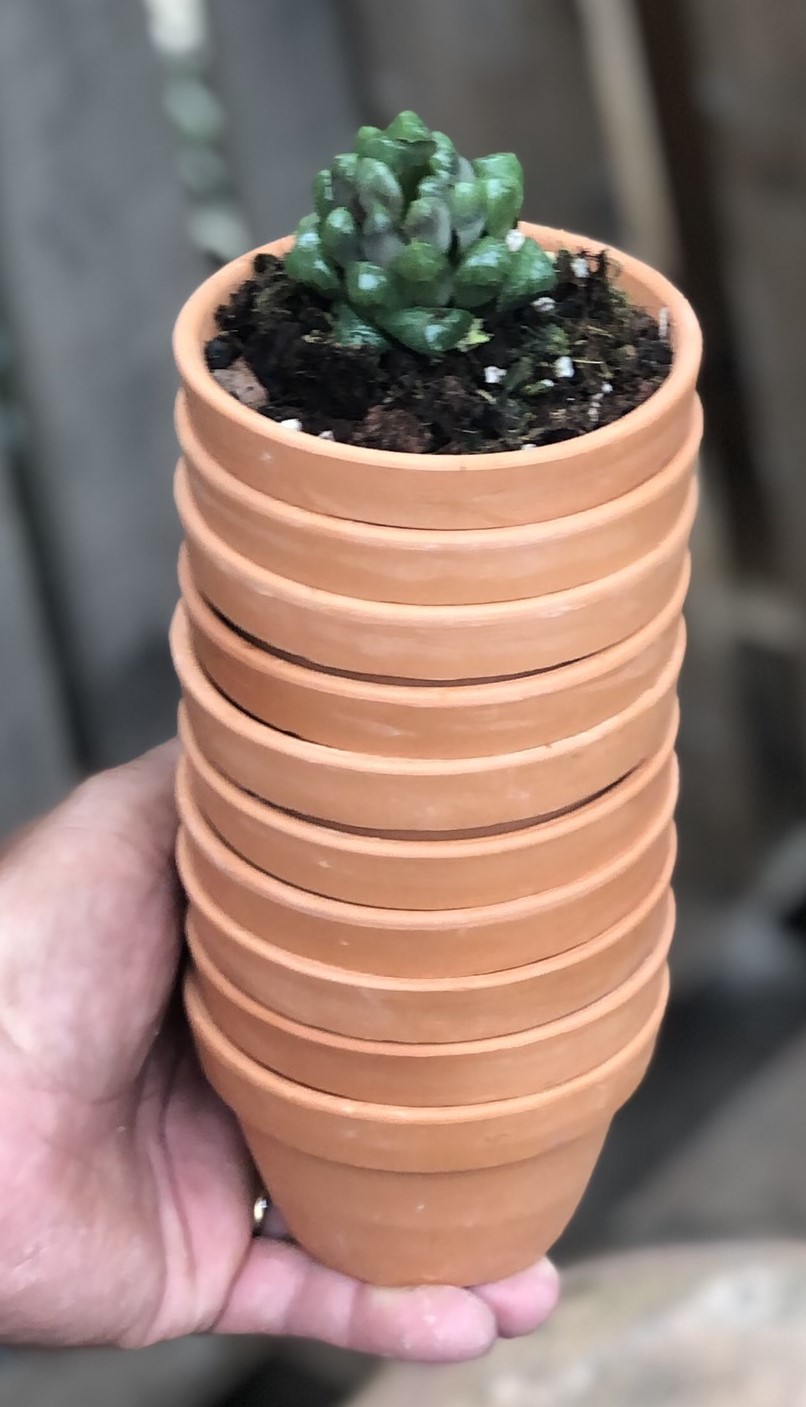 Bộ 10 chậu đất nung trồng xương rồng sen đá kích thước fi 9 x 5,5 cm
