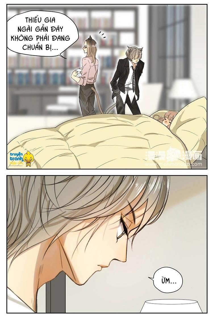 cứu mạng ! loài mèo thống trị thế giới rồi ! chapter 14 4