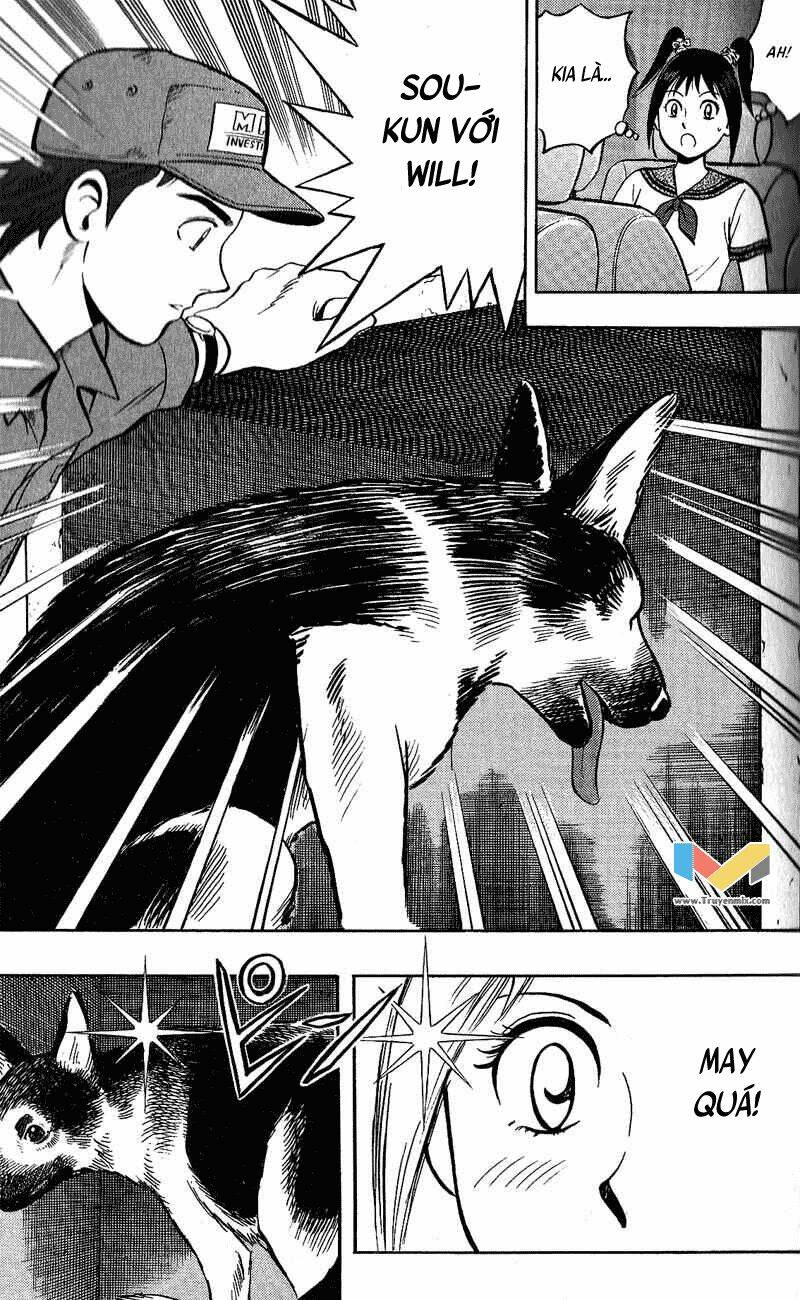 animal sense chapter 8 26