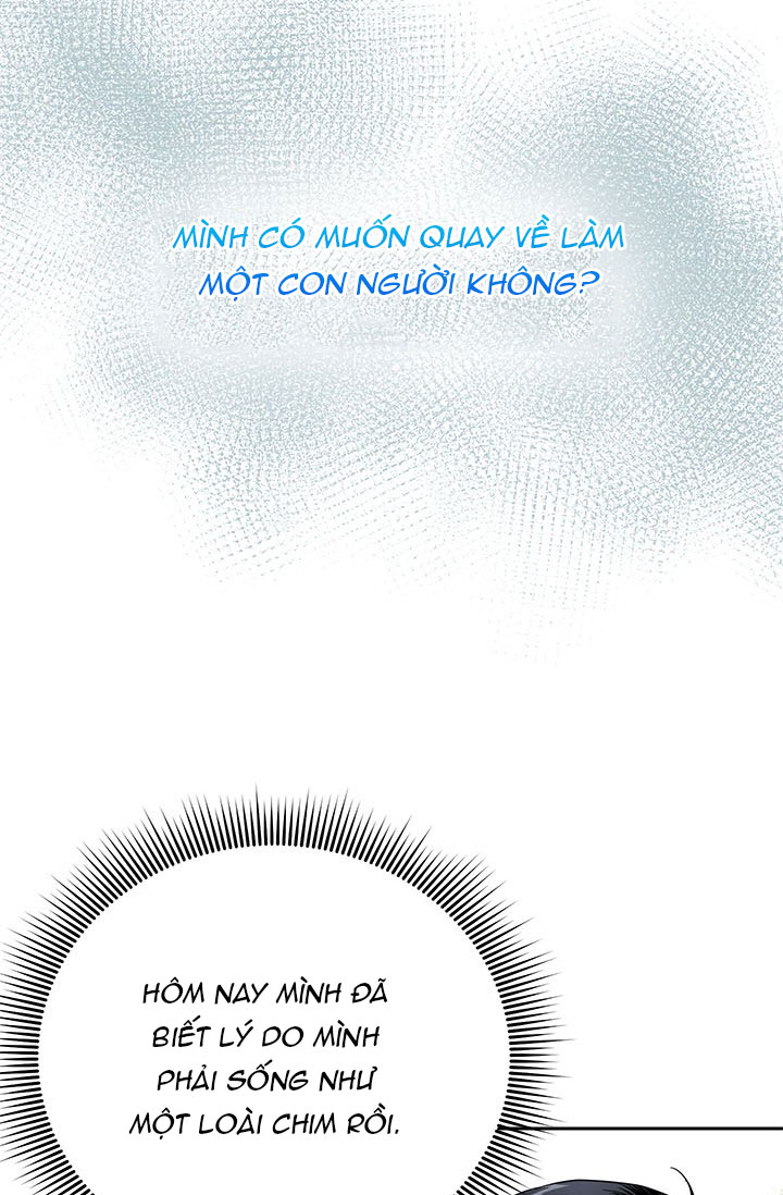 công chúa của loài chim chapter 34 76