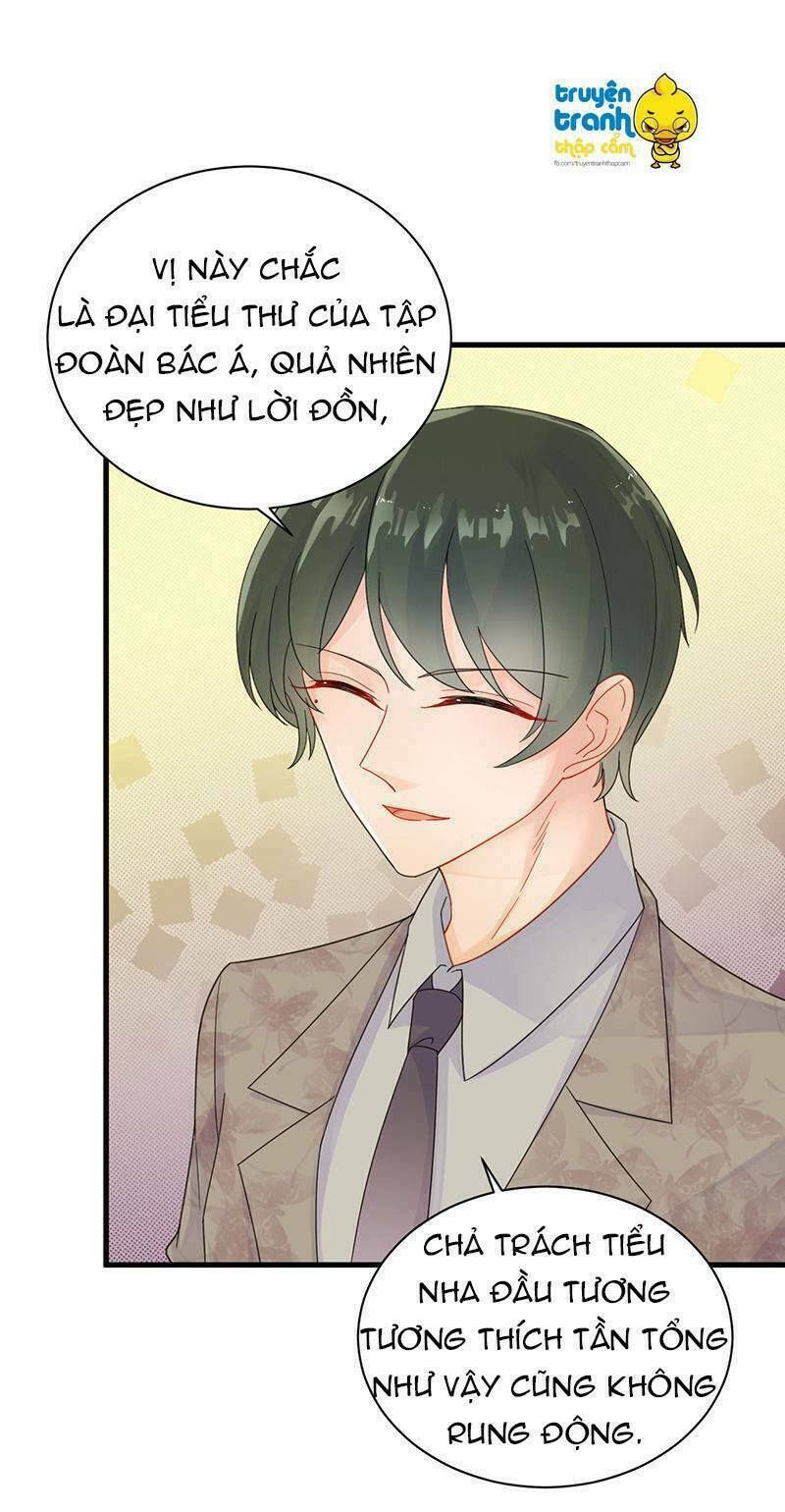 chọc tới chủ tịch tổng tài 2 chapter 48 6