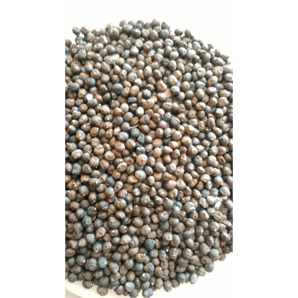 200gram hạt bông gòn giống