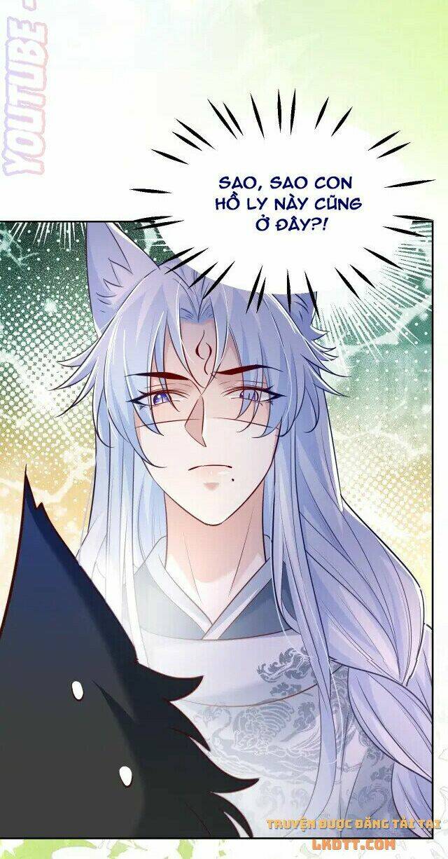 hắc hóa nam chính trực tuyến nuôi thỏ chapter 44 12