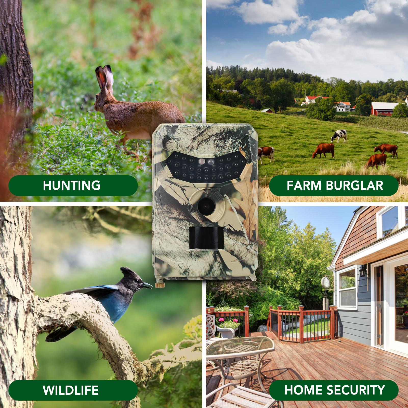 16Mp 1080P Máy Ảnh Đường Mòn Săn Bắn Máy Ảnh Máy Ảnh Hướng Đạo Động Vật Hoang Dã Ngoài Trời Với Cảm Biến Pir Hồng Ngoạimàu Đỏ Tầm Nhìn Ban Đêm