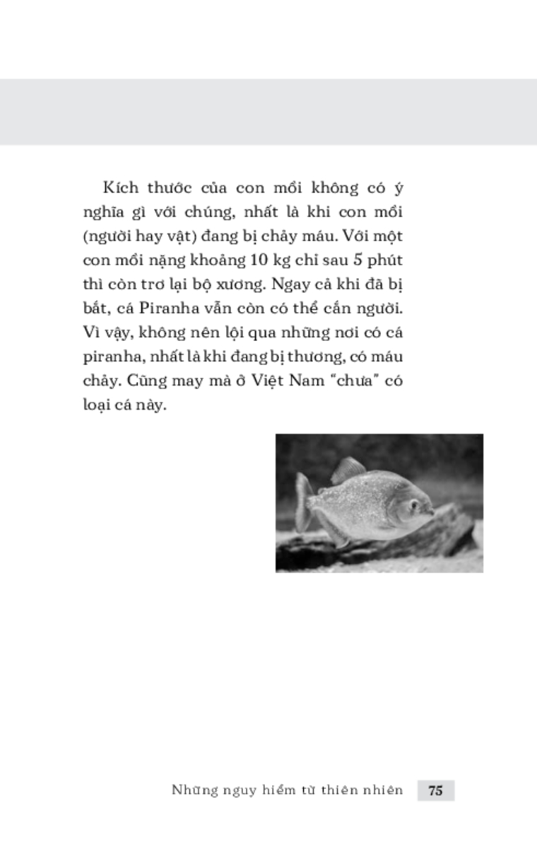 Những Nguy Hiểm Từ Thiên Nhiên _TRE