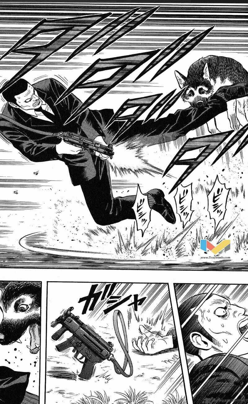 animal sense chapter 12 29