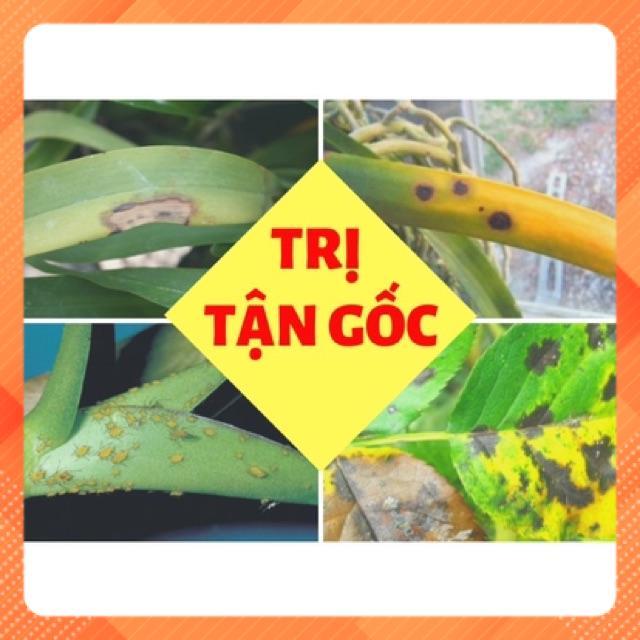 Compo 3 lọ : CHẾ PHẨM VI SINH P-GRO