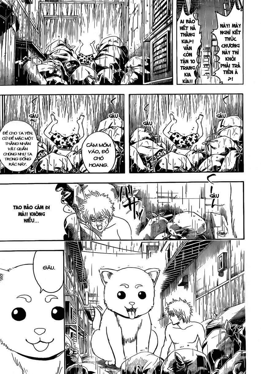 gintama - linh hồn bạc chapter 373 10