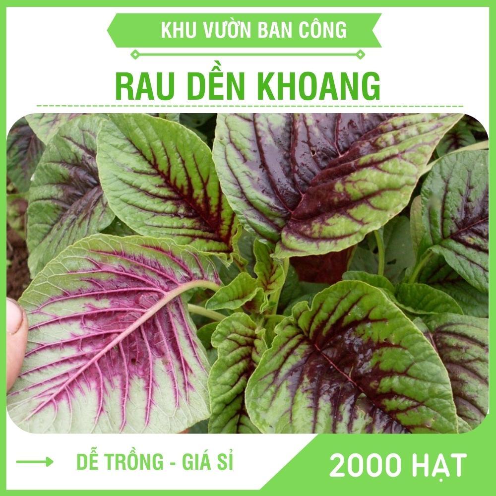 Hạt Giống Rau Dền Khoang Cao Sản Canh Tác Quanh Năm Gói 20G - Khu Vườn Ban Công