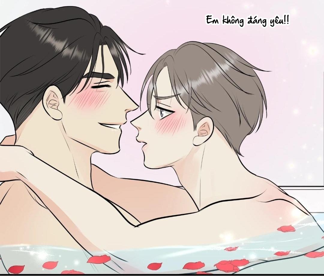 hạnh phúc trọn vẹn chapter 22 45