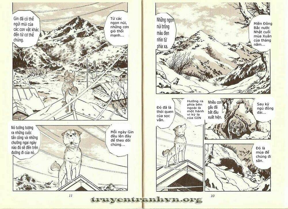 chú chó có nghĩa - ginga nagareboshi gin chapter 7 3