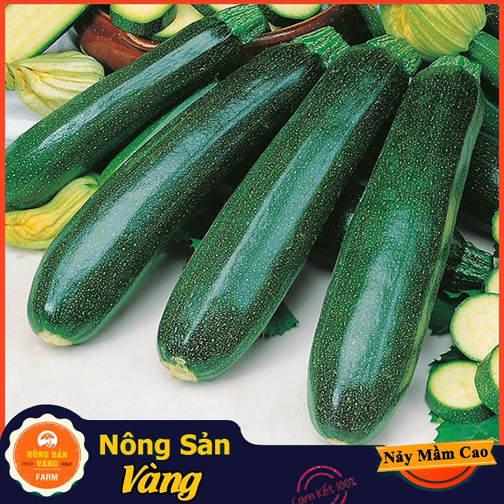 Hạt giống Bí Ngòi ( Gói 10 Hạt ) - Nông Sản Vàng